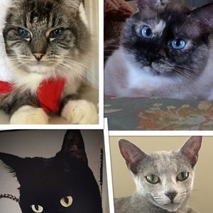 Meet your Posher, Kay